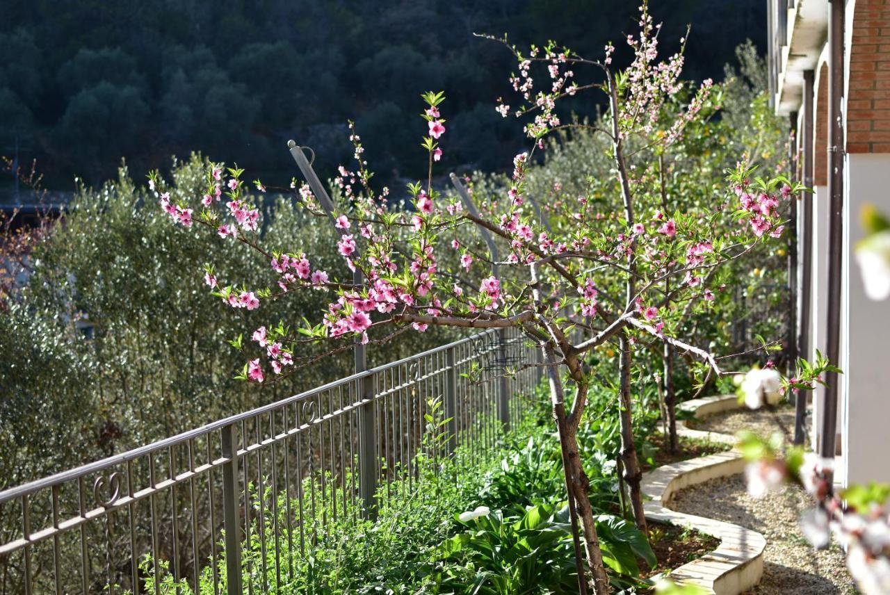 דירות אלסיו Casa Ninin מראה חיצוני תמונה
